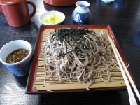 僕は毎日お蕎麦を食べてもあきません。でもうどんも好き。