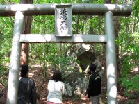 なぜか、淡島神社と書いてある